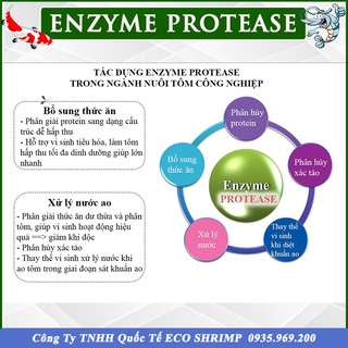 500gram Enzyme Protease, Enzyme Hàng Nguyên Liệu, Phân Hủy Protein, Ủ Phân Cá, Xử Lý Nước Ao Nuôi Tôm Cá