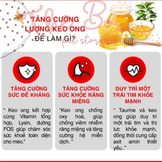 [1KG] Hạt Today Dinner Mèo Mọi Lứa Tuổi