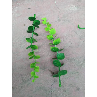 Cỏ táo tim túi 100gram
