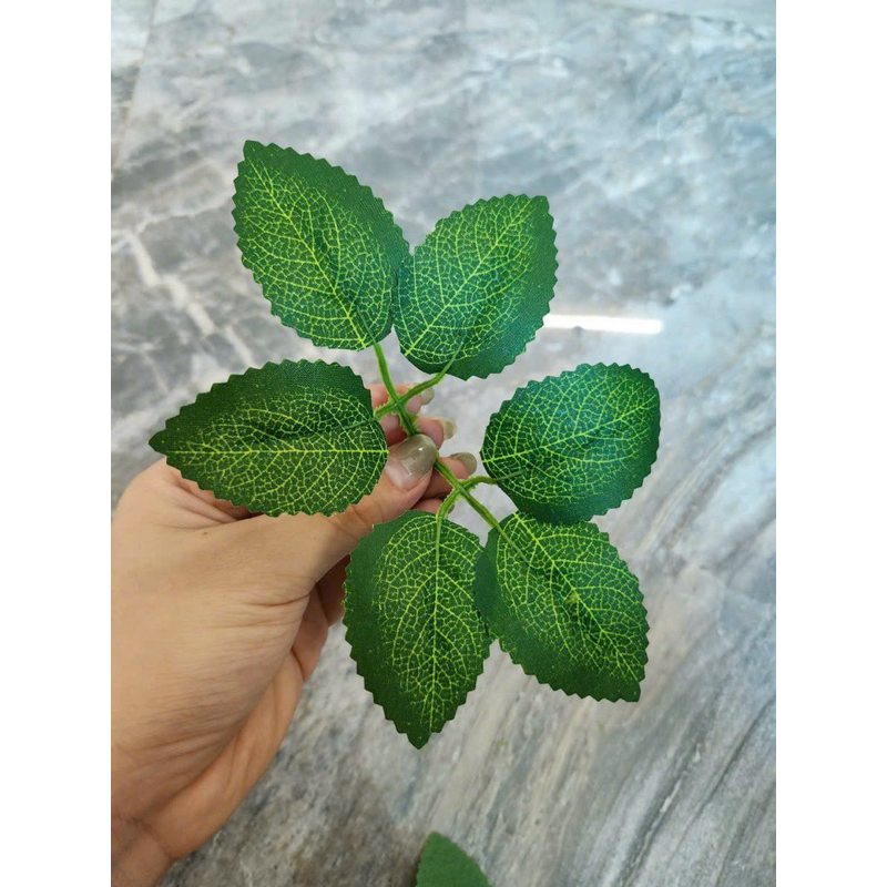 túi 20 lá Hồng