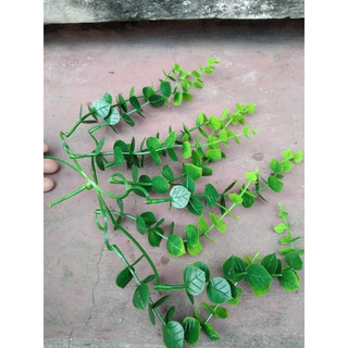 Cỏ táo tim túi 100gram