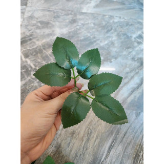 túi 20 lá Hồng