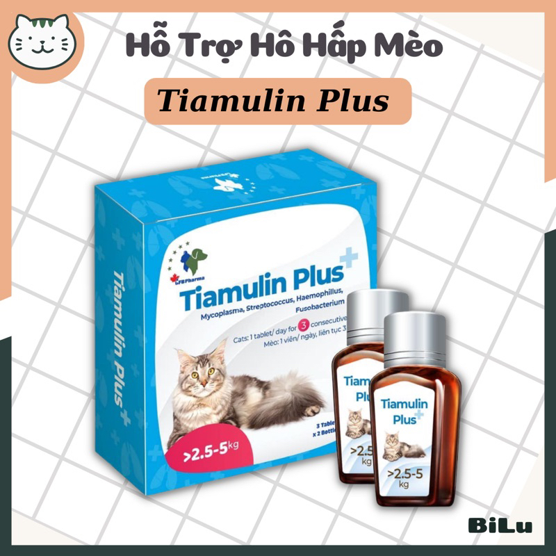 Tiamulin Plus hô hấp cho mèo