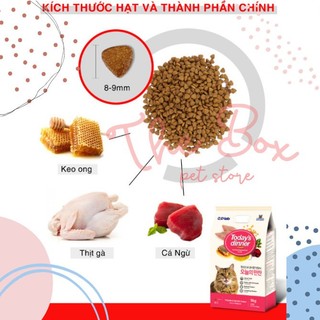 [1KG] Hạt Today Dinner Mèo Mọi Lứa Tuổi