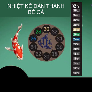 Nhiệt kế dán thành bể cá tiện lợi - nhiệt kế bể cá