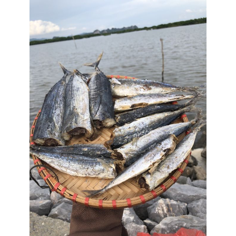 500g KHÔ CÁ NỤC HẤP MẶN 22-25 con/ CÁ NỤC KHÔ