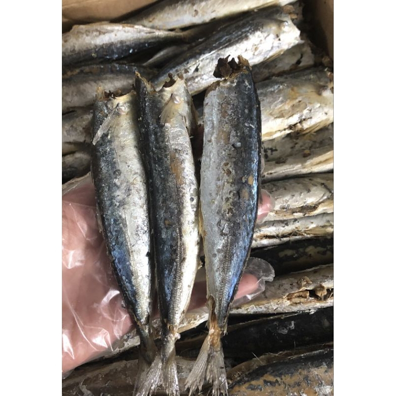 500g KHÔ CÁ NỤC HẤP MẶN 22-25 con/ CÁ NỤC KHÔ