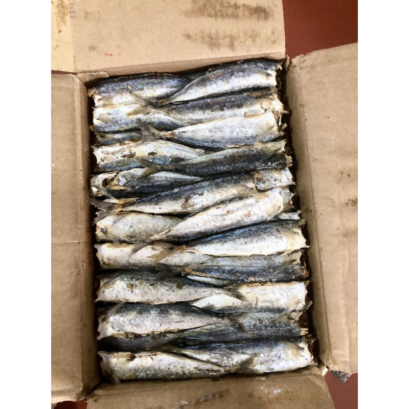 500g KHÔ CÁ NỤC HẤP MẶN 22-25 con/ CÁ NỤC KHÔ