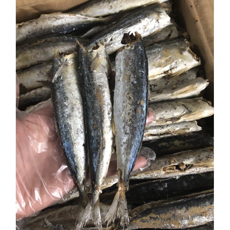 500g KHÔ CÁ NỤC HẤP MẶN 22-25 con/ CÁ NỤC KHÔ