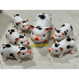 Lợn đàn tiết kiệm