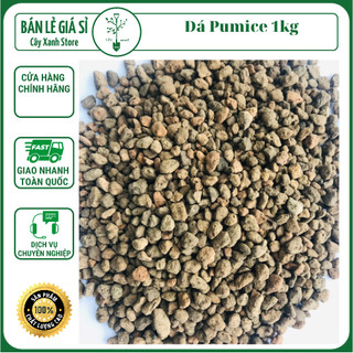 Đá Pumice cao cấp - Đá Anh Vũ nhập khẩu Indonesia