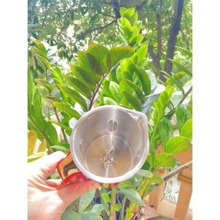 Máy Làm Sữa Hạt Mini Arber Mlsh-4WMĐ