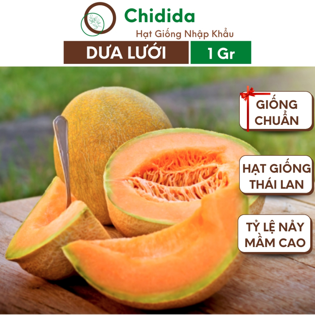 Hạt giống dưa lưới Chidida giống dưa lưới vỏ vàng ruột cam trái 1,5kg giống ngắn ngày Thái Lan gói 1g