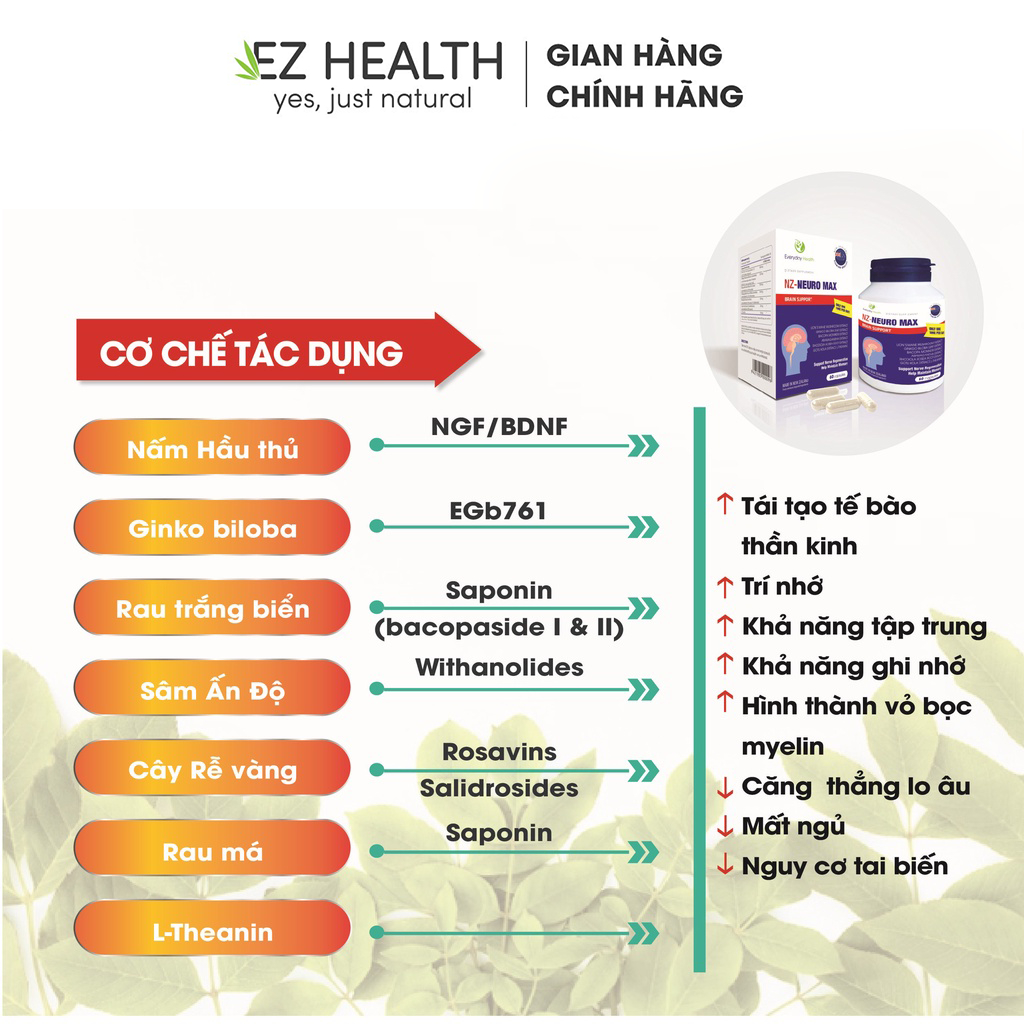 Viên uống bổ não Everyday Health NZ - NEURO MAX tăng cường tuần hoàn não cải thiện trí lực và thị lực hộp 60 viên
