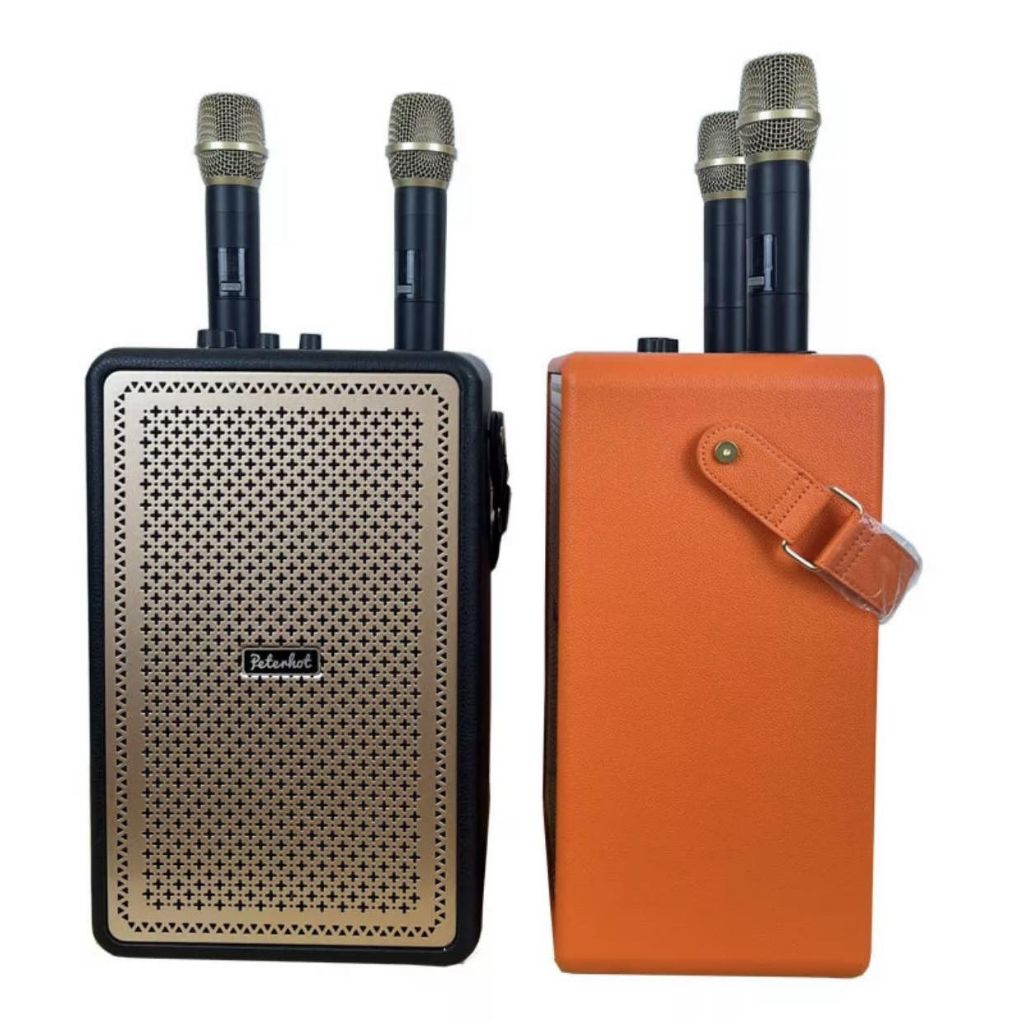 Loa Karaoke Bluetooth Booms Bass M4203+ Kèm 2 Micro Không Dây Chính Hãng, Bass Mạnh, Pin 28h, Bảo Hành 2 Nă,