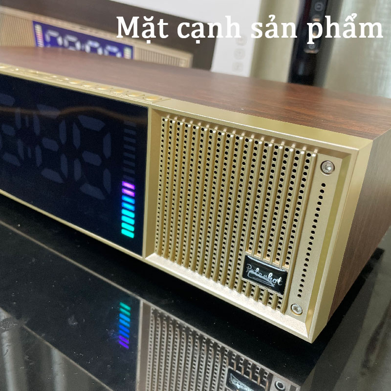 Loa Bluetooth Peterhot A133, Loa Karaoke Kèm 2 Mic Không Dây, Màn hình LCD hiện thị, đèn LED theo nhạc, Bảo Hành 2 Năm.