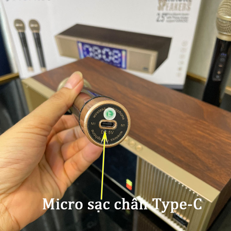 Loa Bluetooth Peterhot A133, Loa Karaoke Kèm 2 Mic Không Dây, Màn hình LCD hiện thị, đèn LED theo nhạc, Bảo Hành 2 Năm.