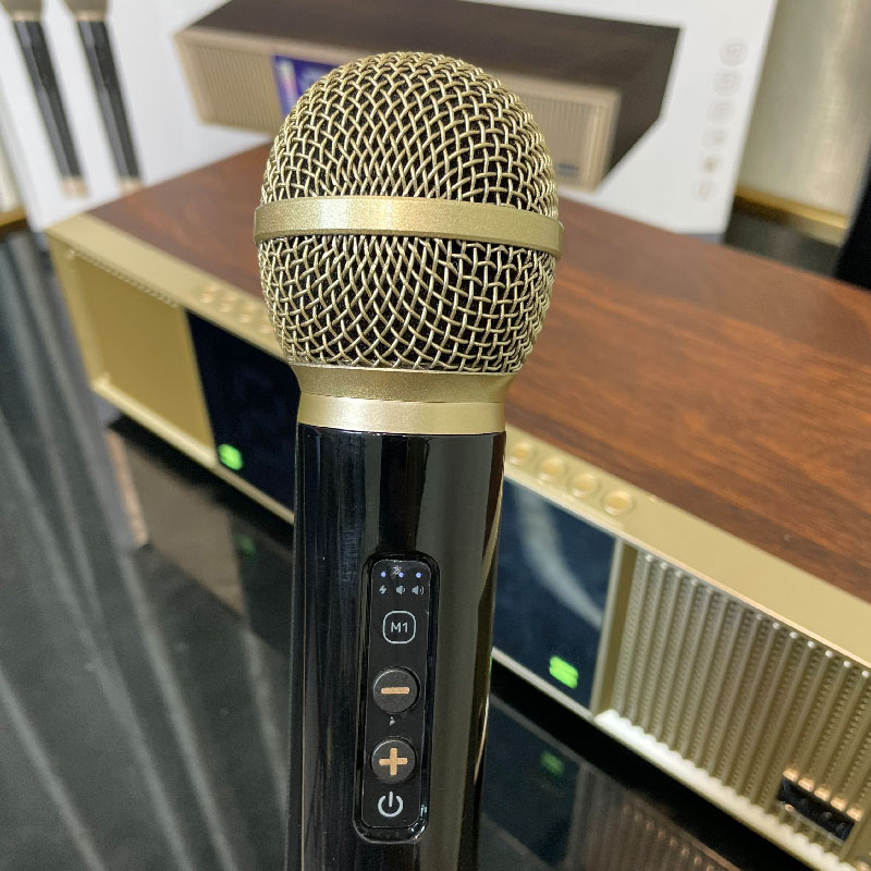 Loa Bluetooth Peterhot A133, Loa Karaoke Kèm 2 Mic Không Dây, Màn hình LCD hiện thị, đèn LED theo nhạc, Bảo Hành 2 Năm.