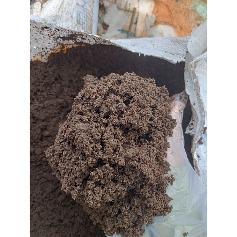 Phân Trùn quế nguyên chất từ trại