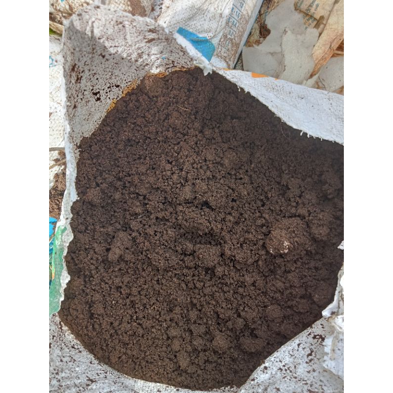 Phân Trùn quế nguyên chất từ trại