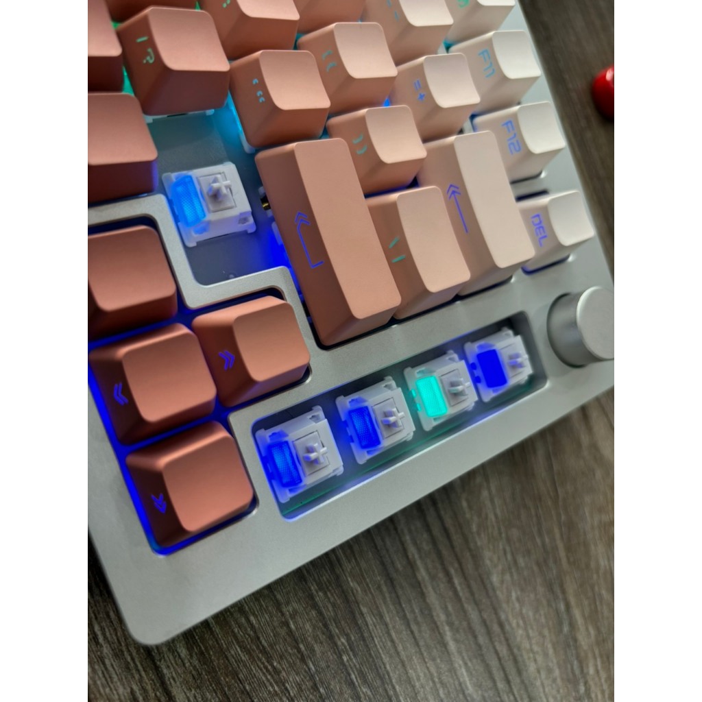 Switch MORANDI linnear đã lube Tại Tungcustom