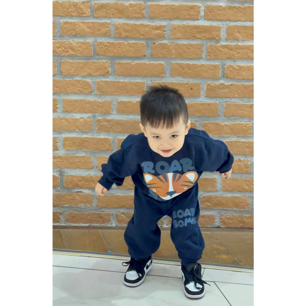 BỘ NỈ XANH THAN HÌNH HỔ DÀI TAY CHO BÉ