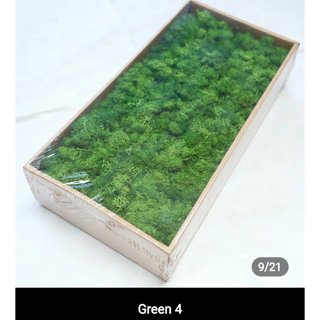 Rêu bảo tồn (The Rare moss)