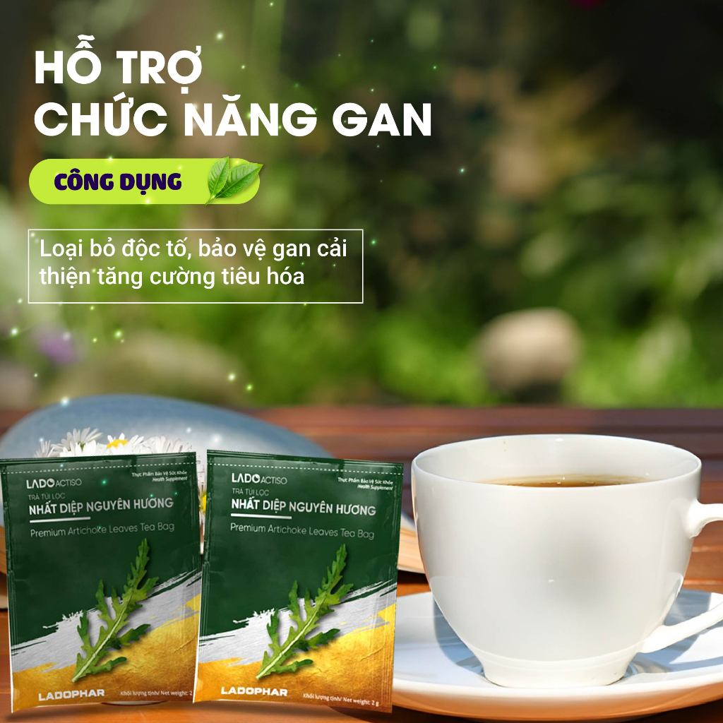 Trà túi lọc Nhất diệp nguyên hương LADOPHAR trà thảo mộc túi lọc thanh nhiệt lợi tiểu mát gan