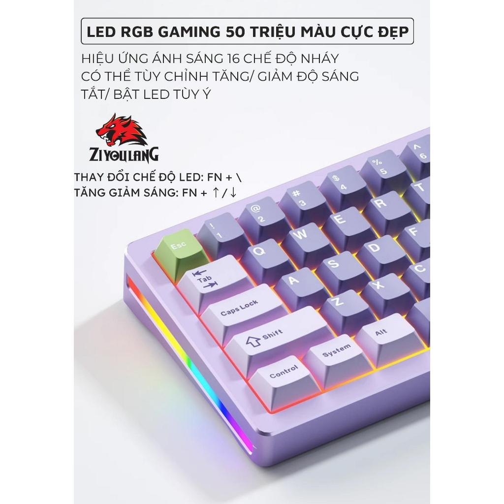 Bàn Phím Cơ Bluetooth Không Dây Cao Cấp ZiyouLang M71 LED RGB Pro Khung Đúc Nhôm, Hotswap 5 Pin, Lót Foam