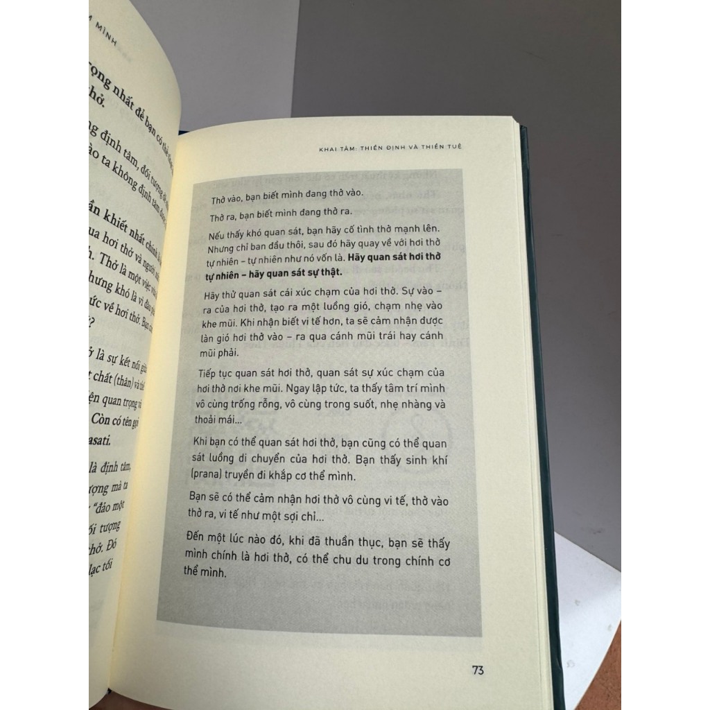 Sách -  Hướng dẫn sử dụng tâm mình - Tạ Minh Tuấn - Minh Books - Nhà xuất bản Dân Trí.