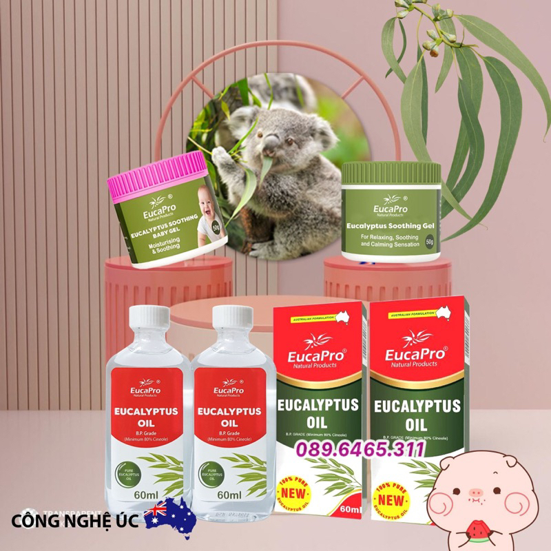Dầu Bôi Ấm ngực phòng ngừa cảm cúm, giảm ho, nghẹt mũi từ khuynh diệp úc, eukybear, eucapro, dầu bôi ấm ngực