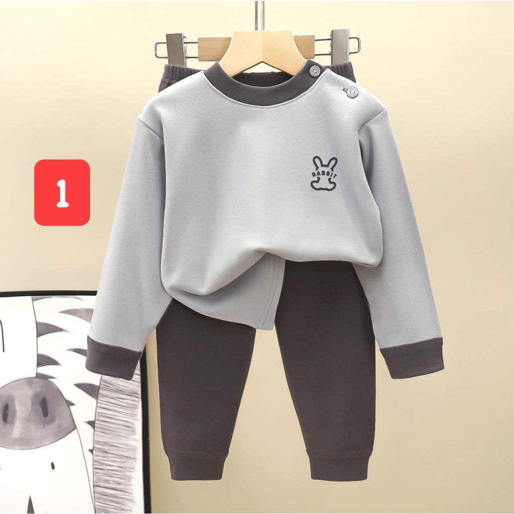 Bộ dài tay cotton cho bé trai, gái đủ size từ 8kg - 34kg