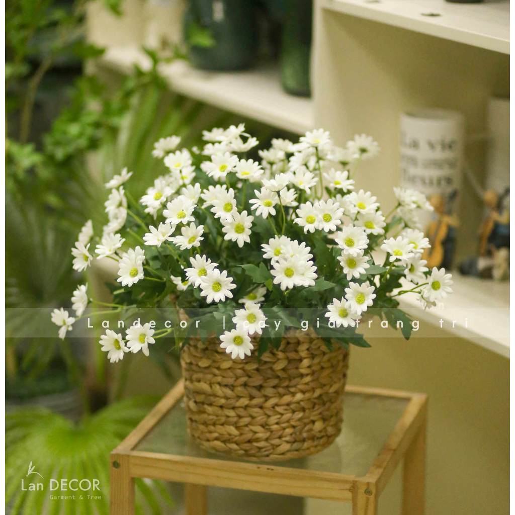 Hoa giả để bàn - Hoa cúc giả trang trí phòng, decor bàn làm việc, phong cách đồng nội đẹp tự nhiên lãng mạn Lan Decor