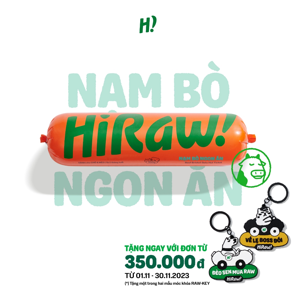 HI RAW! Raw Meat Cho Chó Mèo Từ 2 Tháng Tuổi - Nạm Bò Ngon Ăn 300G - Ship 2H