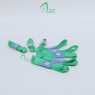 Thước dây đo eo,bụng ,đo chiều cao nhiều màu