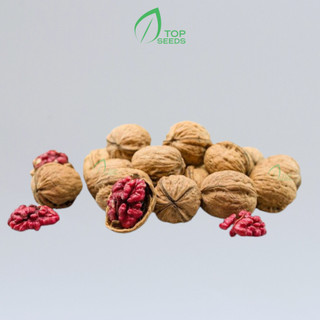 500g quả óc chó đỏ mỹ