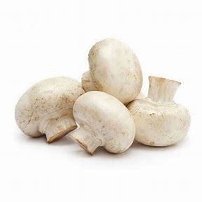 Nấm Mỡ Tươi Nguyên Cái Đóng Hộp Champignons Ja 400g