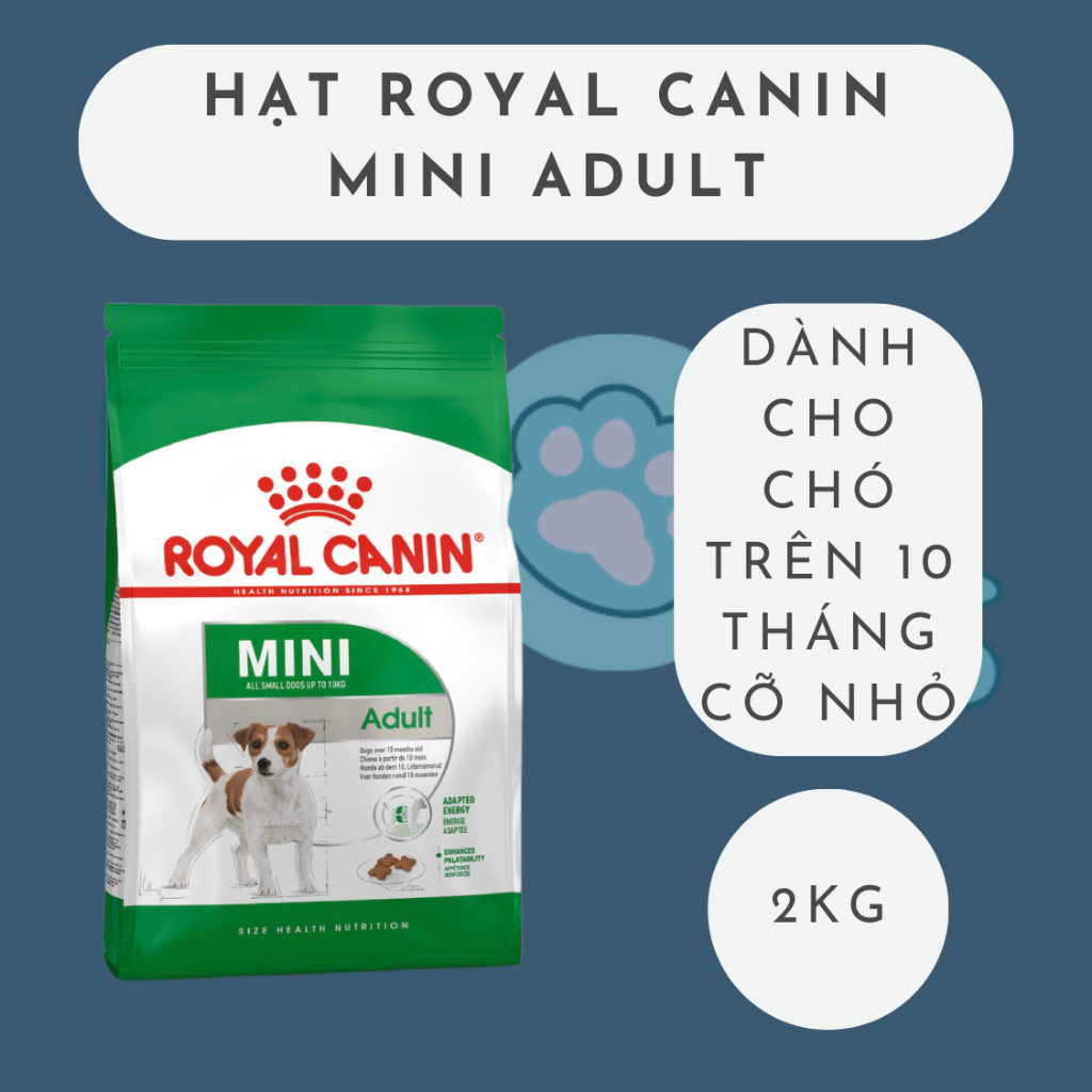 ROYAL CANIN MINI ADULT