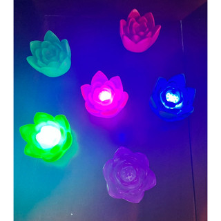 Đèn led hình hoa sen