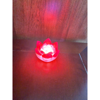 Đèn led hình hoa sen