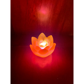 Đèn led hình hoa sen