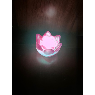 Đèn led hình hoa sen
