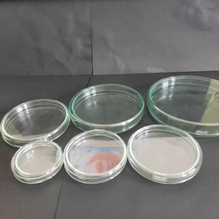 [DINLAB - Đức hàng chính hãng] 1 CẶP ĐĨA PETRI THỦY TINH NHIỀU SIZE