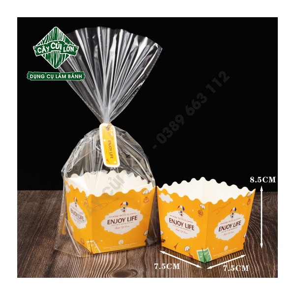 SET 10 TÚI KIẾNG GIẤY CAO