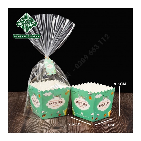 SET 10 TÚI KIẾNG GIẤY CAO