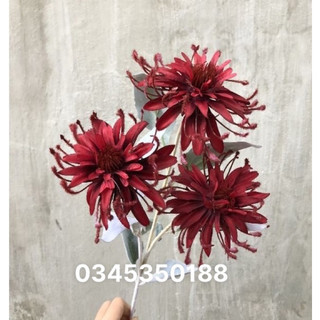 Hoa cúc giả - Hoa Cúc Bỉ Ngạn 1 cành 3 bông dài 70 cm (ảnh thật)