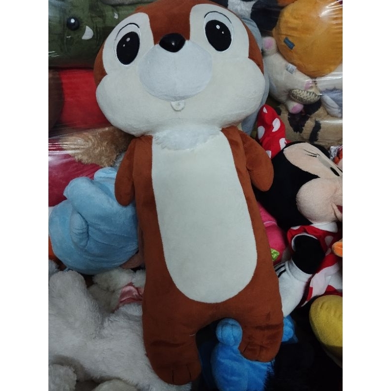 Gấu bông sóc size khoảng 70-80 cm