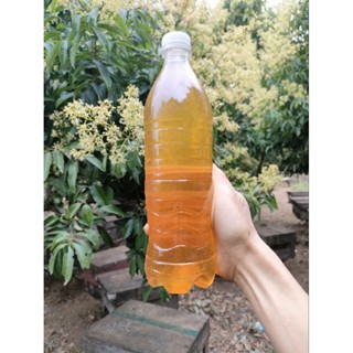 1Lít Mật Ong Hoa Vải Thiều Nguyên Chất 100% Giá Sỉ 