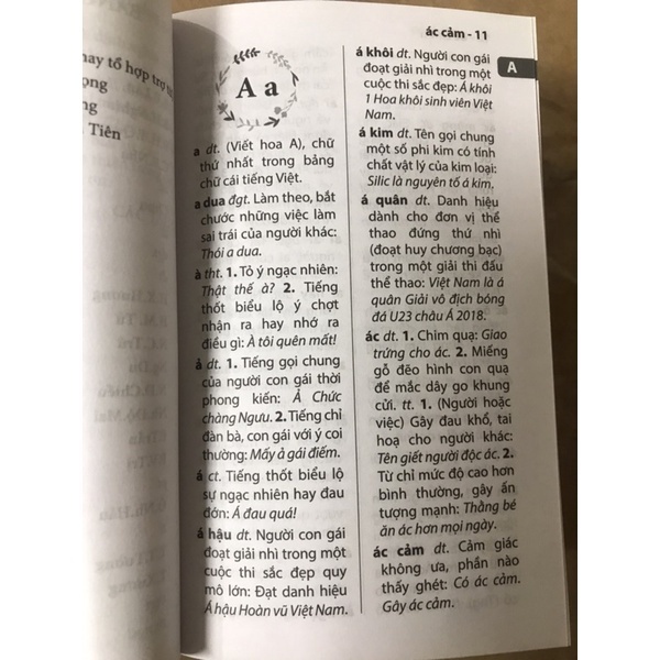 Sách - Từ điển tiếng việt dành cho học sinh