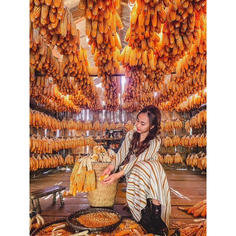 Set áo váy sọc nâu